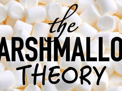 Marshmallow theory